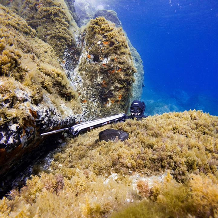 ARBALETE PATHOS LASER EVO PRO