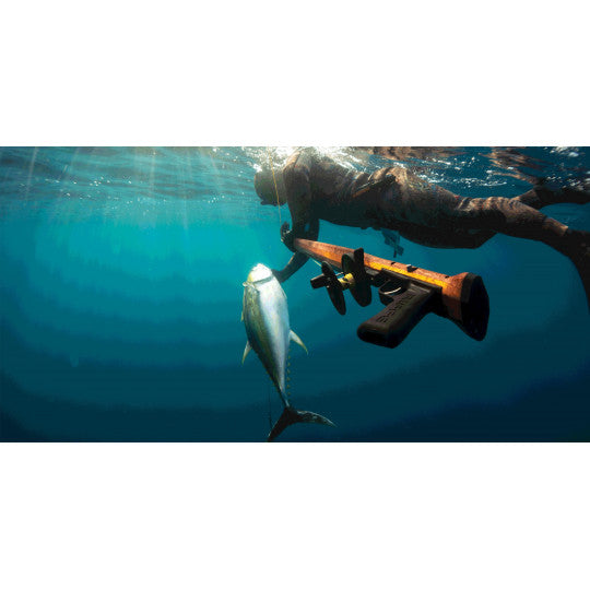 Arbalete Riffe MARAUDER (riffe) 63" + Slip Tip Rig(MAHOGANY)