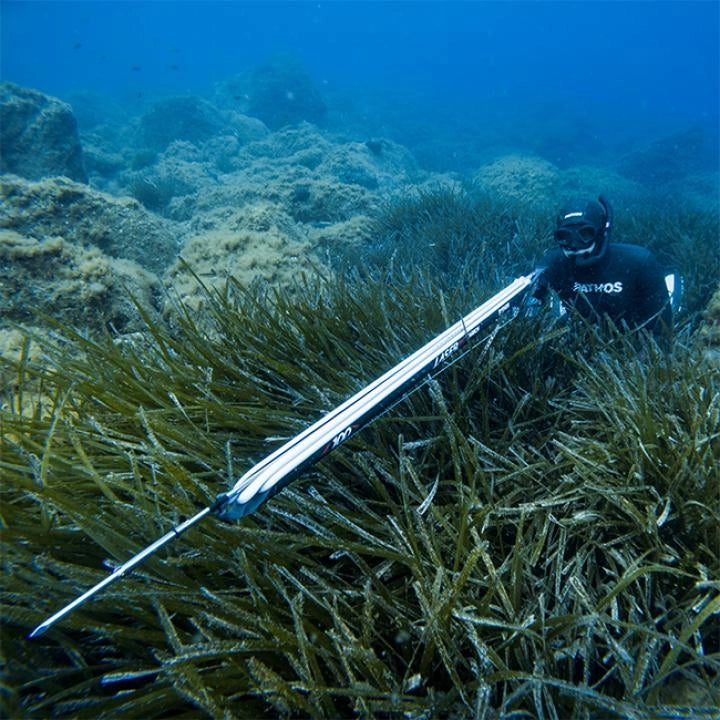 ARBALETE  PATHOS LASER EVO CARBON